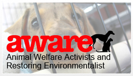 Aware NGO  AWARE is an Non Profit Organization devoted to the welfare of  animals on the streets and the saving of the environment.